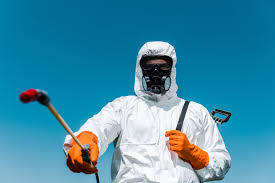 Professional Pest Control in Bridgeport, OH